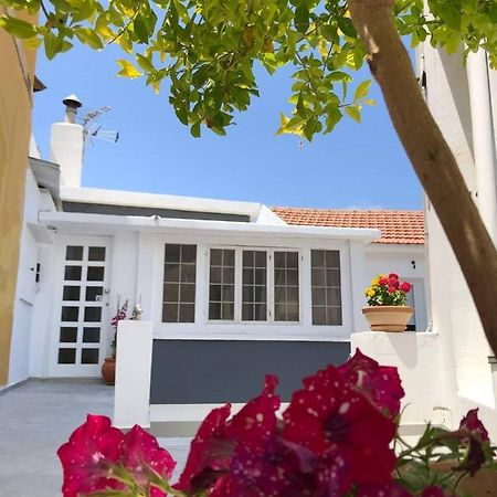 Katsikantaris Homes بافوس المظهر الخارجي الصورة
